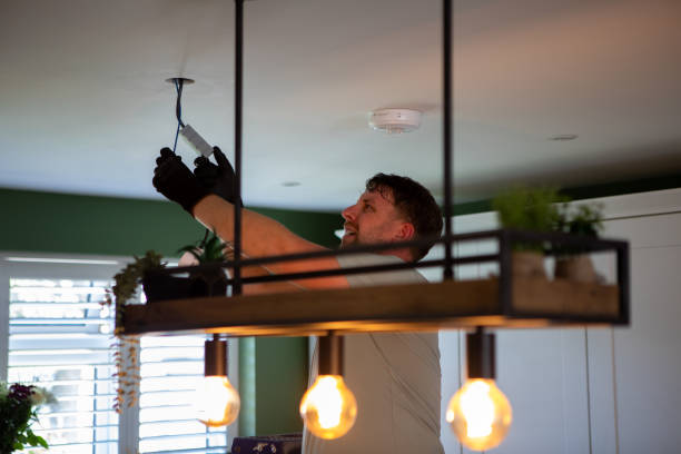 Best Electric Panel Repair  in Fairview Heights, IL